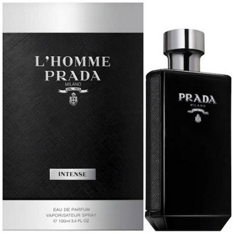 prada intense notes|Prada l'homme intense perfume.